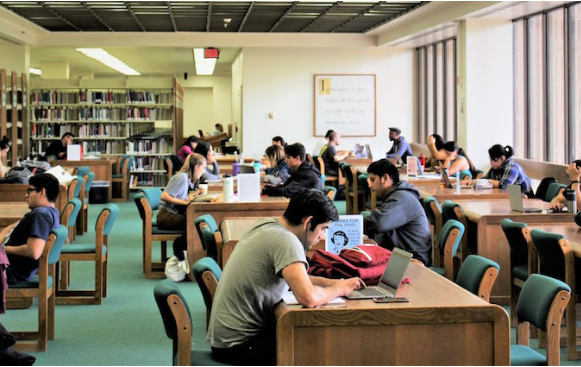 Image of Students in a Library